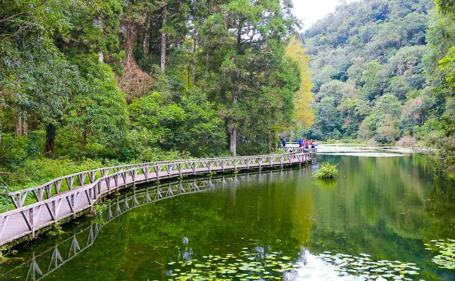 福山植物園交通 福山植物園交通