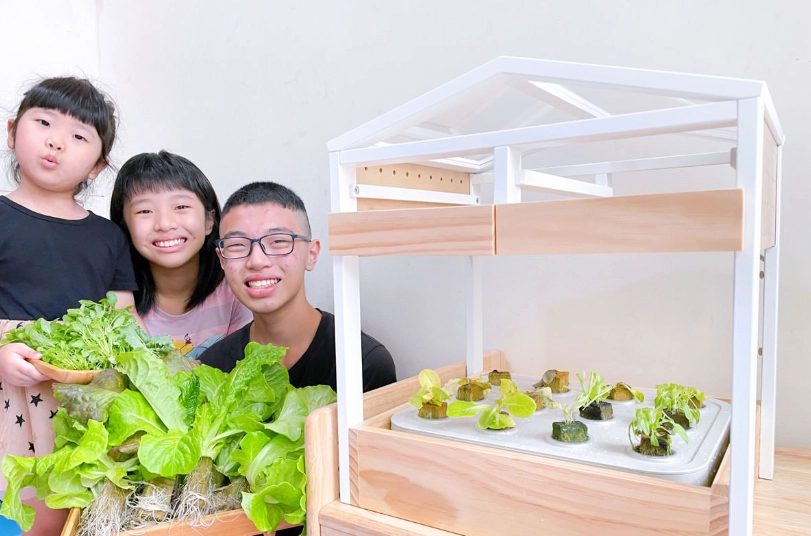 植物澆水技巧