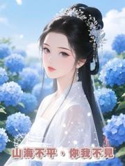 山海不平，你我不見